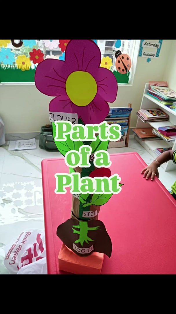 🌱 Parts of a Plant + Its Life Cycle 🌿Prepared by teacher Trainees at Fun n Joy Teacher Trainin (1)